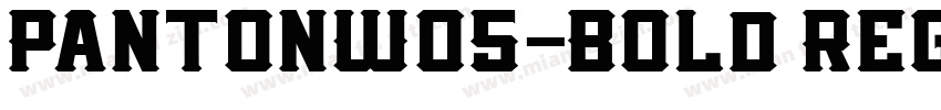PantonW05-Bold Regul字体转换